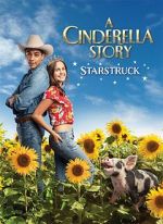 Watch A Cinderella Story: Starstruck Tvmuse