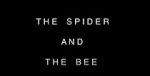 Watch The Spider and the Bee Tvmuse