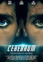 Watch Cerebrum Tvmuse