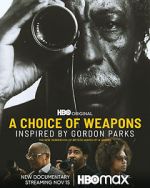 Watch A Choice of Weapons: Inspired by Gordon Parks Tvmuse