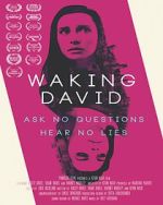Watch Waking David Tvmuse