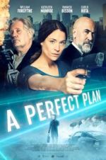 Watch A Perfect Plan Tvmuse