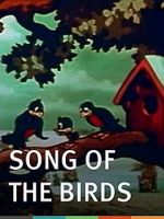 Watch The Song of the Birds (Short 1935) Tvmuse