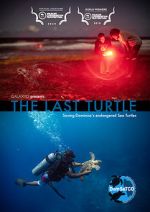 Watch The Last Turtle (Short 2019) Tvmuse
