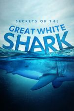 Watch Secrets of the Great White Shark Tvmuse