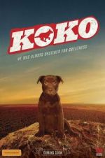 Watch Koko: A Red Dog Story Tvmuse