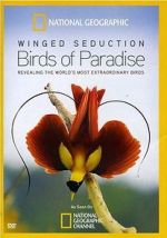Watch Winged Seduction: Birds of Paradise Tvmuse