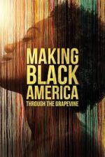 Watch Making Black America: Through the Grapevine Tvmuse