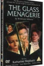 Watch The Glass Menagerie Tvmuse
