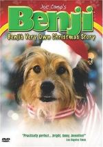 Watch Benji\'s Very Own Christmas Story (TV Short 1978) Tvmuse