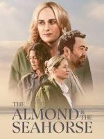 Watch The Almond and the Seahorse Tvmuse