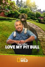 Watch Cesar Millan: Love My Pit Bull Tvmuse