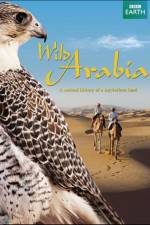 Watch Wild Arabia Tvmuse