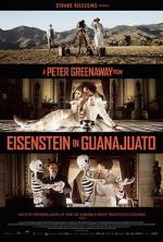 Watch Eisenstein in Guanajuato Tvmuse