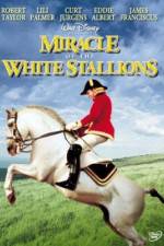 Watch Miracle of the White Stallions Tvmuse