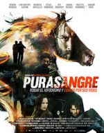 Watch Purasangre Tvmuse