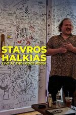 Watch Stavros Halkias: Live at the Lodge Room (TV Special 2022) Tvmuse