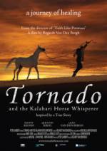 Watch Tornado and the Kalahari Horse Whisperer Tvmuse