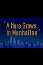 Watch A Hare Grows in Manhattan Tvmuse