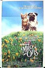 Watch Milo & Otis Tvmuse