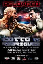 Watch Miguel Cotto vs Delvin Rodriguez Tvmuse
