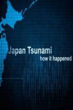 Watch Japan Tsunami: How It Happened Tvmuse