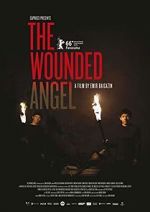 Watch The Wounded Angel Tvmuse