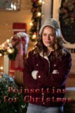 Watch Poinsettias for Christmas Tvmuse