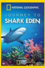 Watch National Geographic Journey to Shark Eden Tvmuse