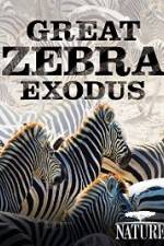 Watch Nature: Great Zebra Exodus Tvmuse