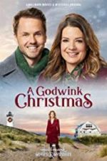 Watch A Godwink Christmas Tvmuse