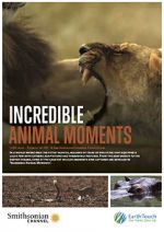 Watch Incredible Animal Moments Tvmuse