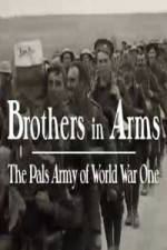 Watch Brothers in Arms: The Pals Army of World War One Tvmuse