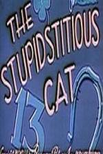 Watch Stupidstitious Cat Tvmuse