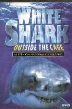 Watch National Geographic white shark:outside the cage Tvmuse