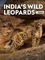 Watch India\'s Wild Leopards (Short 2020) Tvmuse