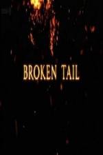 Watch A Tiger Called Broken Tail Tvmuse