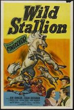 Watch Wild Stallion Tvmuse