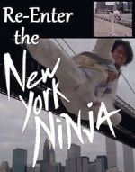 Watch Re-Enter the New York Ninja Tvmuse