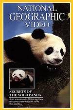 Watch Secrets of the Wild Panda Tvmuse