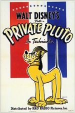 Watch Private Pluto (Short 1943) Tvmuse