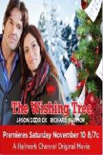 Watch The Wishing Tree Tvmuse