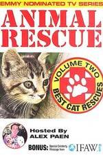 Watch Animal Rescue, Volume 2: Best Cat Rescues Tvmuse