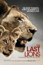 Watch The Last Lions Tvmuse