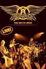 Watch Aerosmith You Gotta Move Tvmuse