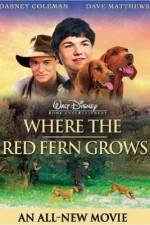 Watch Where the Red Fern Grows Tvmuse