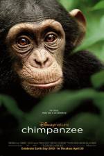 Watch Chimpanzee Tvmuse