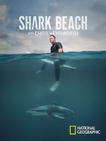 Watch Shark Beach with Chris Hemsworth (TV Special 2021) Tvmuse