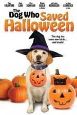 Watch The Dog Who Saved Halloween Tvmuse