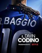 Watch Baggio: The Divine Ponytail Tvmuse